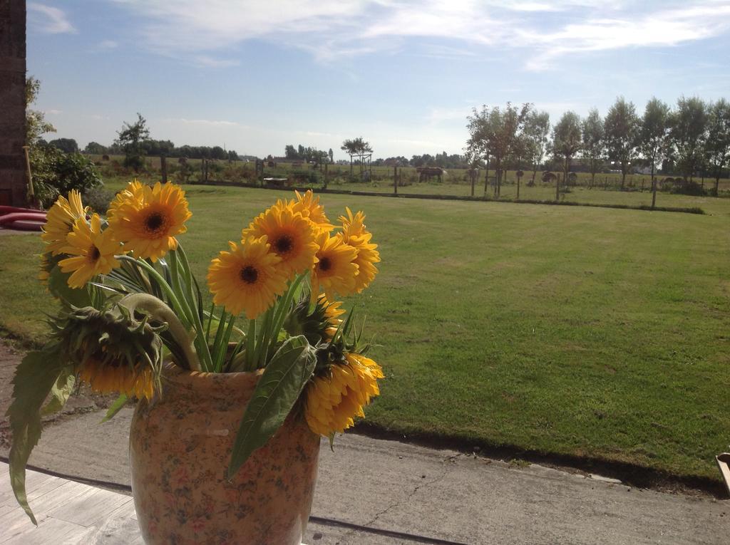 Kokkelikoo Bed & Breakfast บลังเคนเบอร์เก ภายนอก รูปภาพ